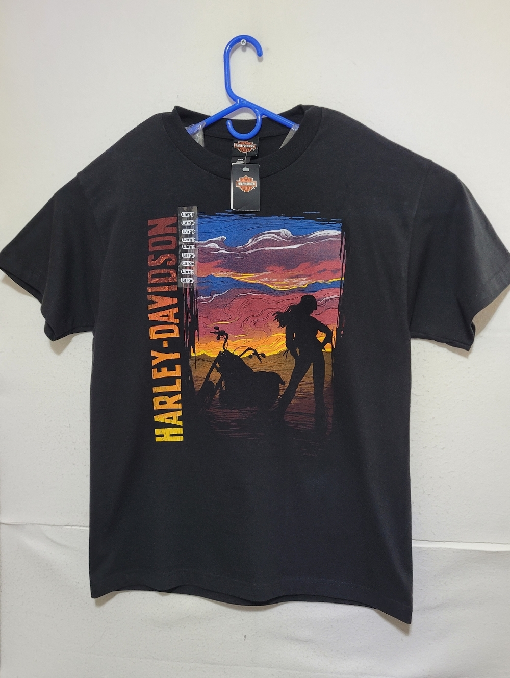 HARLEY-DAVIDSON MEN'S SUNSET RIDER T-SHIRT BLACK SIZE LARGE